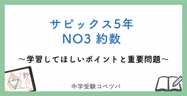 【5年生:NO3 約数 解説動画付】今週の学びの話をしよう