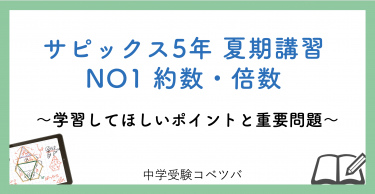 【5年生:夏期講習NO1約数・倍数 解説動画付】今回の学びの話をしよう