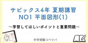 サピックス ディリー　2年生  教材   テキスト　全42回フルセット SAPIX 小学2年 算数 デイリーサピックス 210-01〜06 計6回分