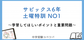 土曜桜蔭特訓01-17 算数　完全版 入試過去問算数 2001-2010 桜蔭中学校 | みくに出版編集部 |本