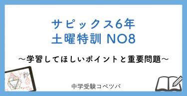 相談No6:新6年サピックス生の土曜特訓のプリントの難易度や優先順位を教えてください│中学受験コベツバ