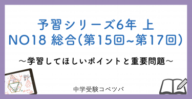 予習シリーズ BOOK] RACERS 46 Kawasaki ZXR-7 Suzuka 8H TT-F1 ZXR750R