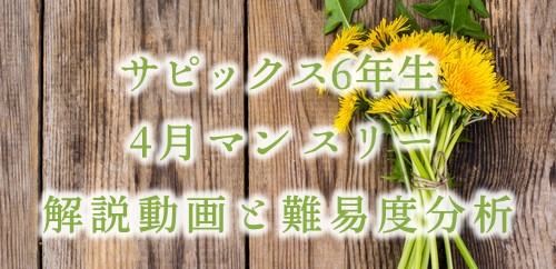 25_SAPIX6_5-768x397.jpeg