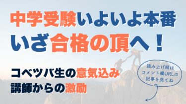 サンデーサピックス：SS特訓のプリント概要（SS単科・SS志望校別の解説